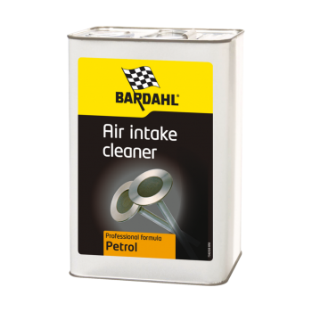 Air Intake Cleaner Petrol